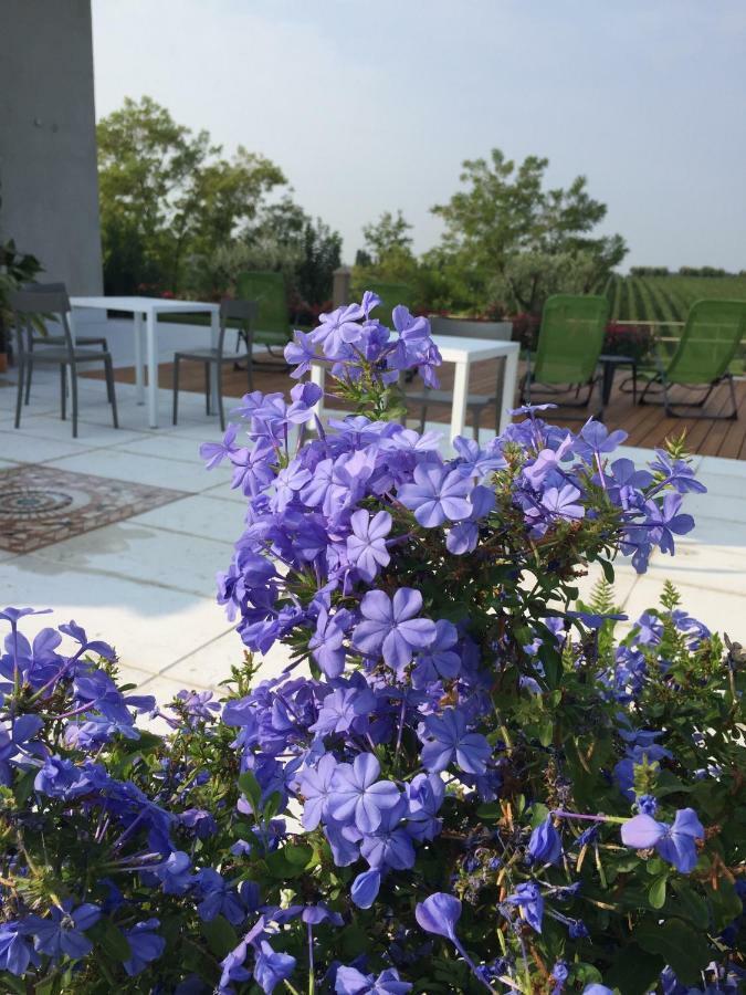 Villa Poggio Бардолино Экстерьер фото